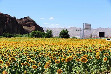 卡牌冒险游戏《千爵史诗》发布新预告 6月2正式发售