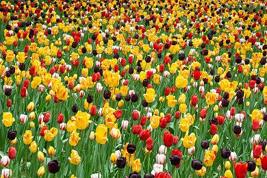 冒险RPG游戏《Nova Antarctica》Steam页面上线 支持简体中文